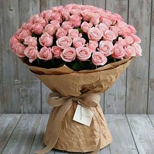 Букет 151 Роза Роуз #REPLACE_PRED# Узловая