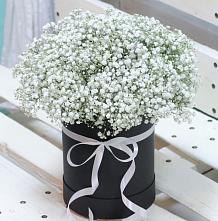Цветочная композиция из Гипсофила в шляпной коробке #REPLACE_PRED# Узловая