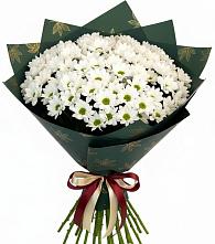 Букет цветов из:  Хризантемы #REPLACE_PRED# Узловая